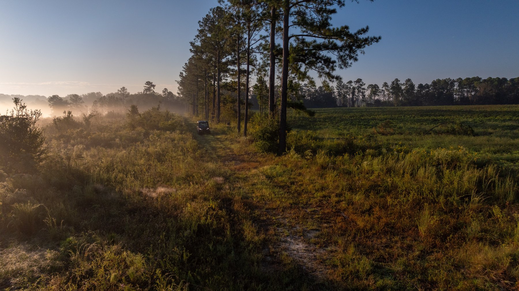Image for Jamieson Place – 203+/- Acres - Recreational Investment Opportunity - Dodge County, Georgia