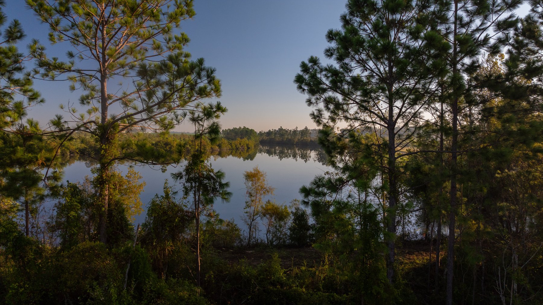 Image for Jamieson Place – 203+/- Acres - Recreational Investment Opportunity - Dodge County, Georgia