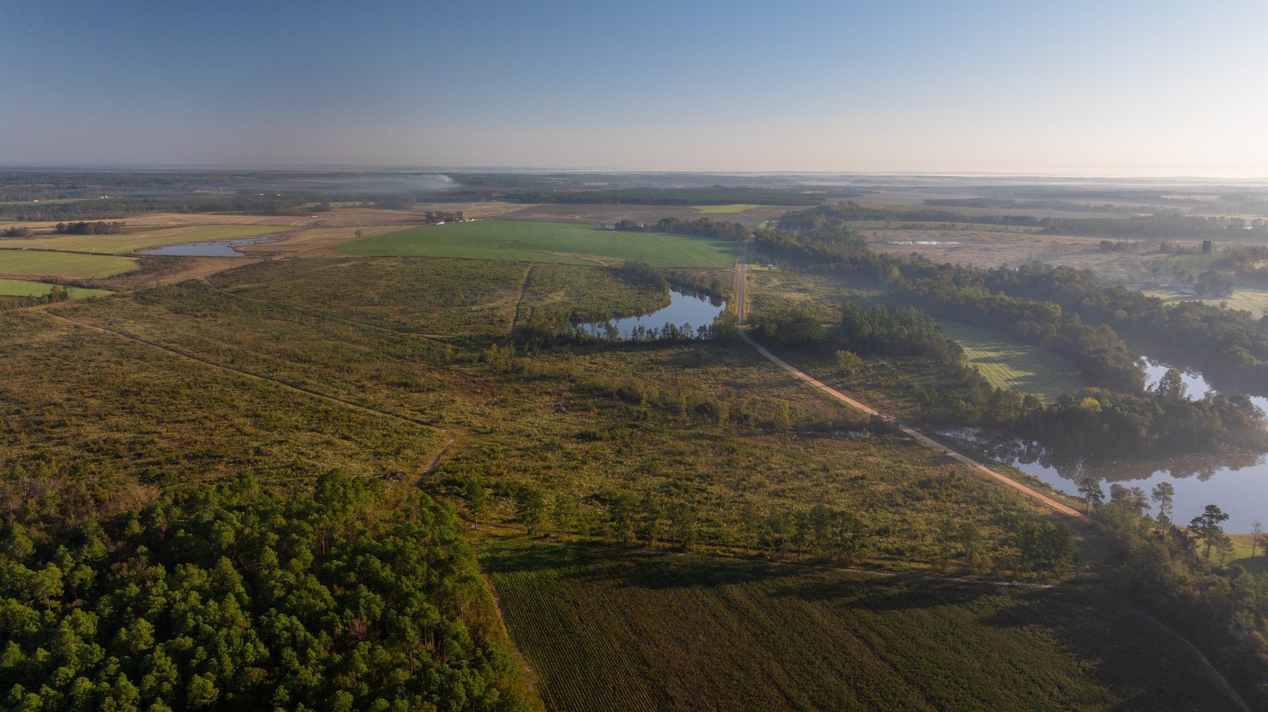 Image for Jamieson Place – 203+/- Acres - Recreational Investment Opportunity - Dodge County, Georgia