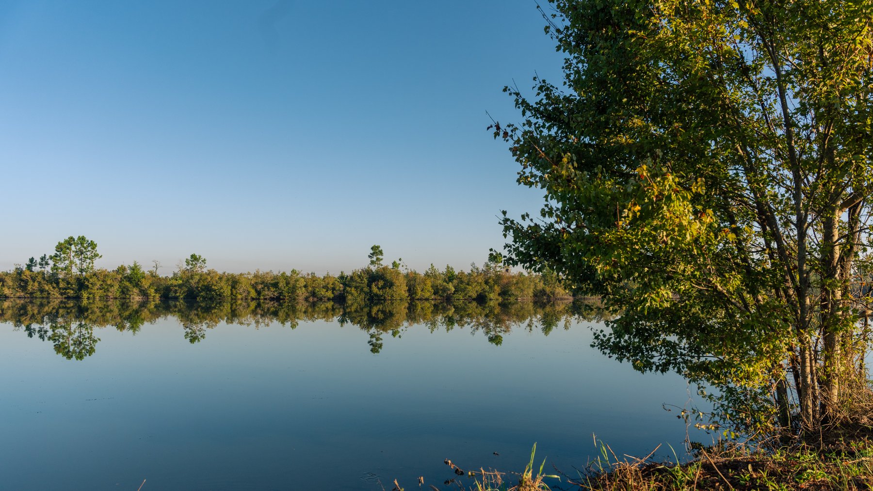 Image for Jamieson Place – 203+/- Acres - Recreational Investment Opportunity - Dodge County, Georgia