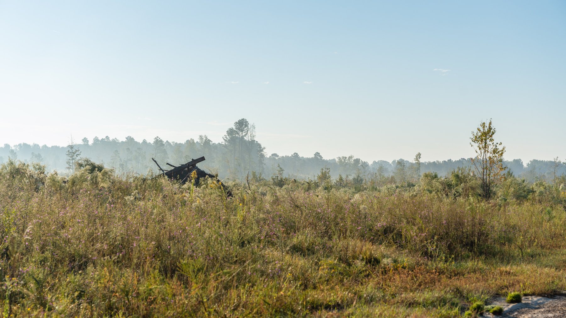 Image for Jamieson Place – 203+/- Acres - Recreational Investment Opportunity - Dodge County, Georgia