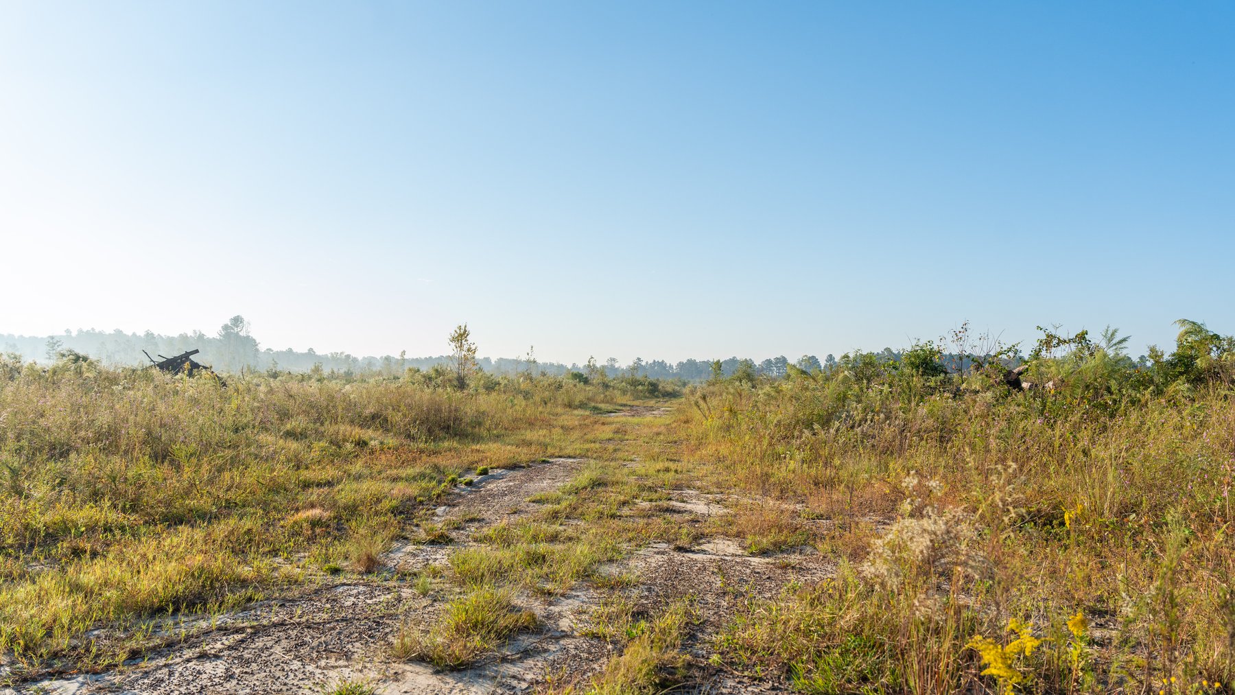 Image for Jamieson Place – 203+/- Acres - Recreational Investment Opportunity - Dodge County, Georgia