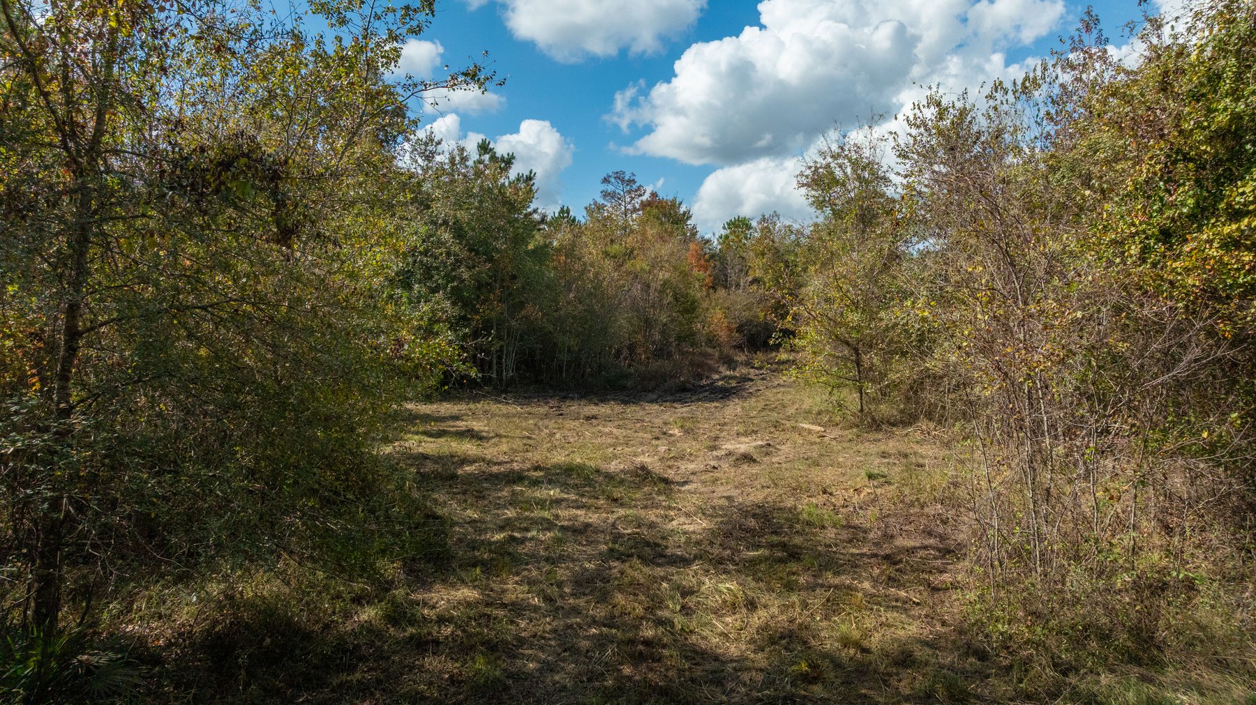 Image for The Hinson Farm – 191+/- Acres - Recreational Paradise with Income-Producing Potential in Dodge County, GA