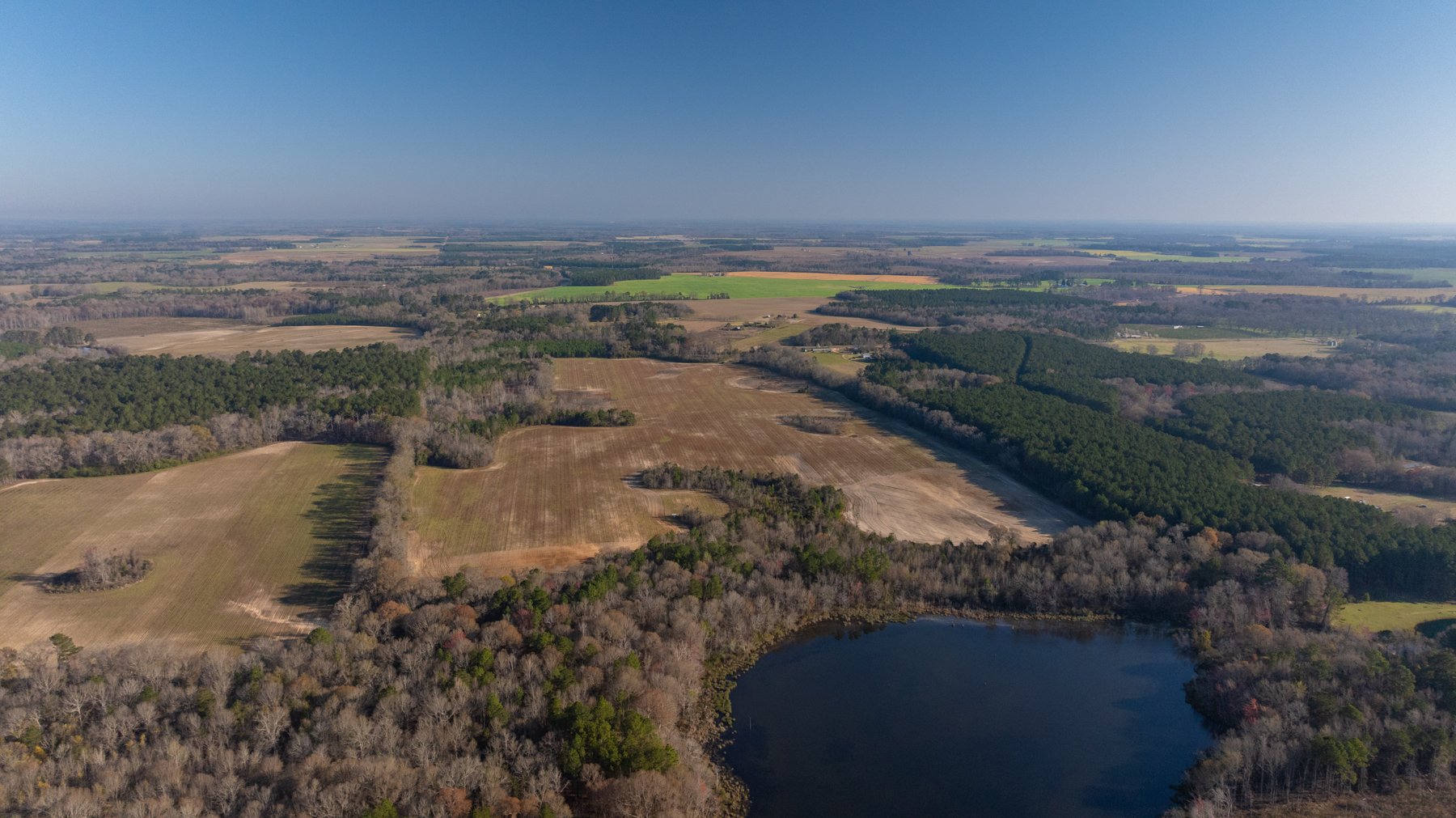 Image for 148+/- Acres - The Cattail Farm - Row Crop Farmland w/ Recreational Acreage