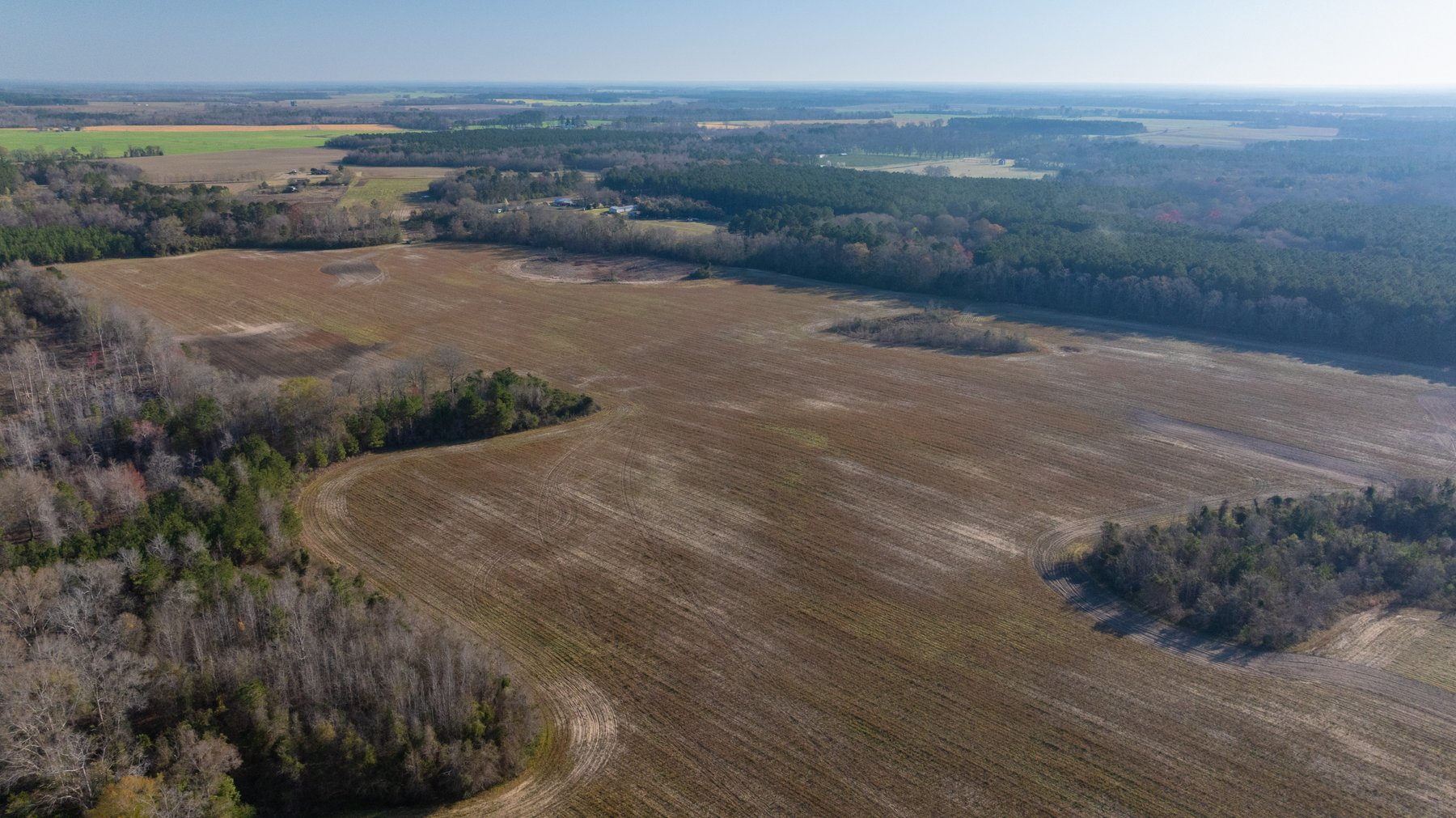 Image for 148+/- Acres - The Cattail Farm - Row Crop Farmland w/ Recreational Acreage