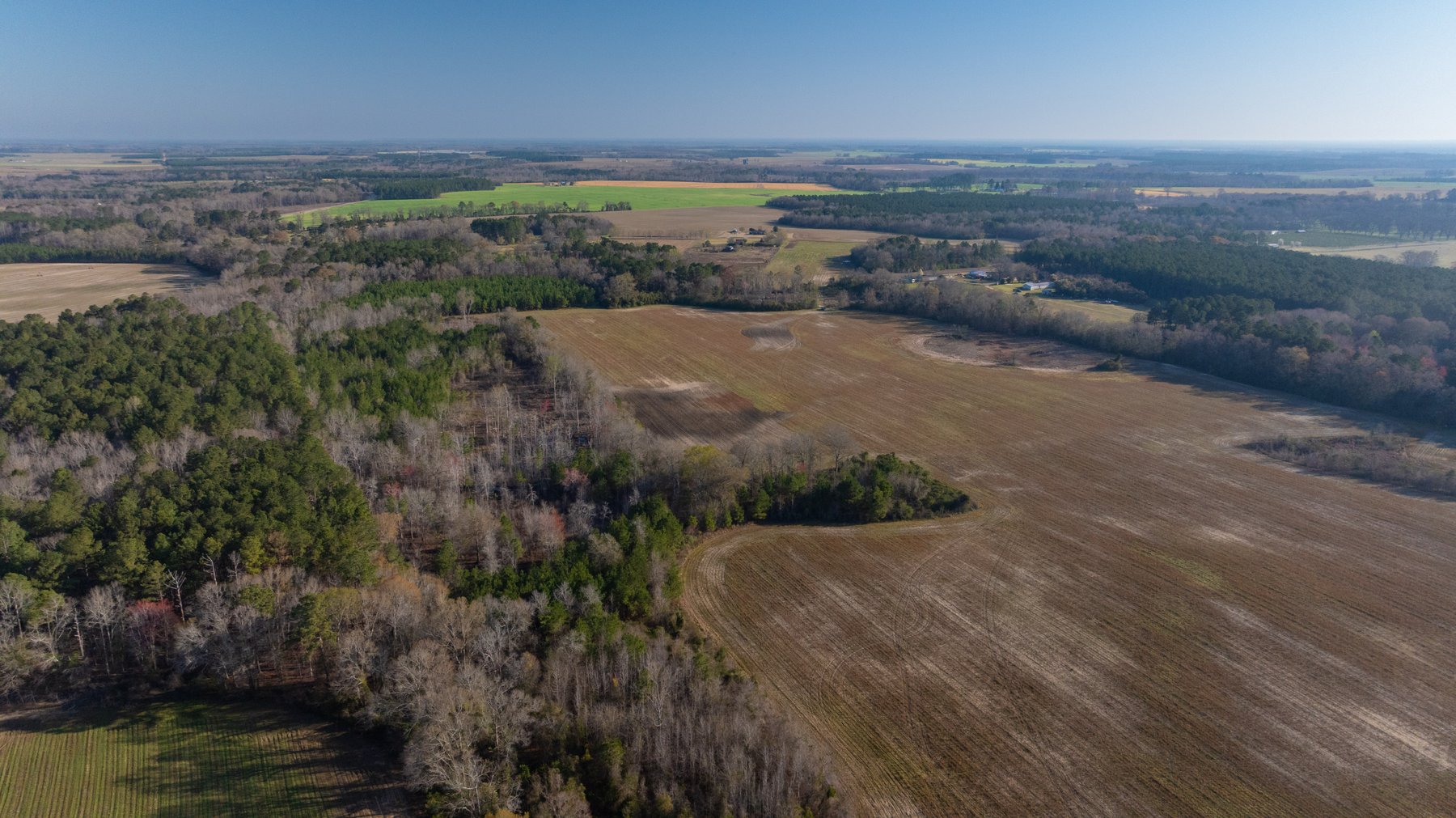 Image for 148+/- Acres - The Cattail Farm - Row Crop Farmland w/ Recreational Acreage