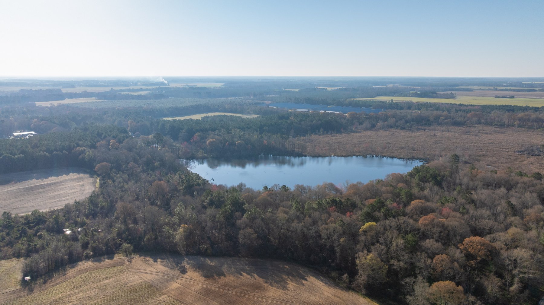Image for 148+/- Acres - The Cattail Farm - Row Crop Farmland w/ Recreational Acreage