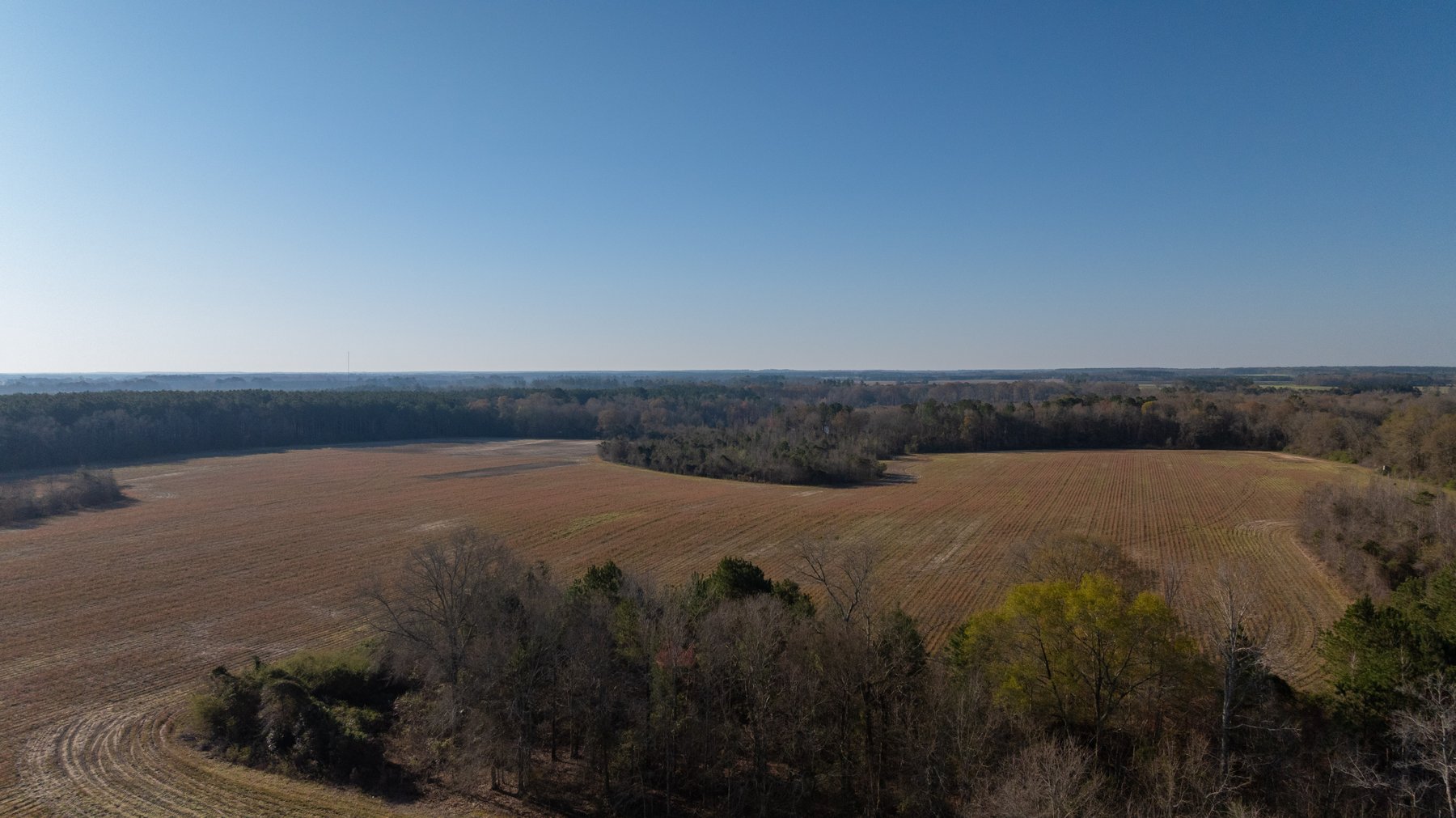 Image for 148+/- Acres - The Cattail Farm - Row Crop Farmland w/ Recreational Acreage