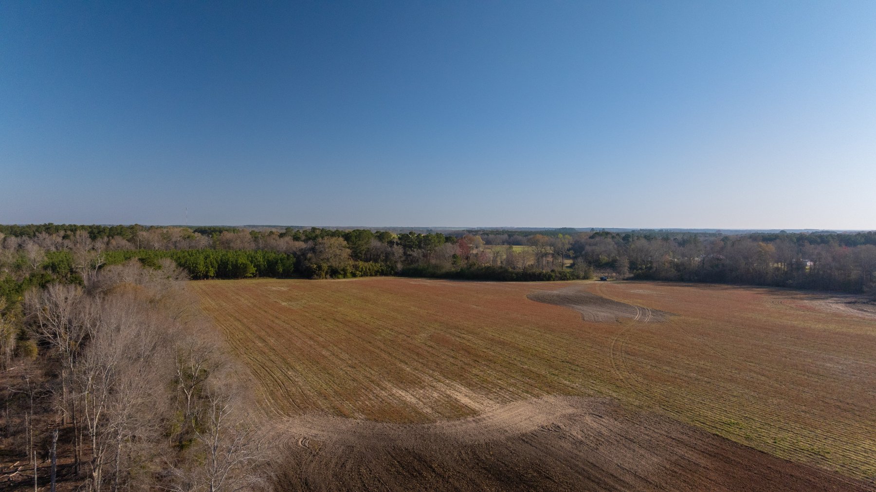 Image for 148+/- Acres - The Cattail Farm - Row Crop Farmland w/ Recreational Acreage