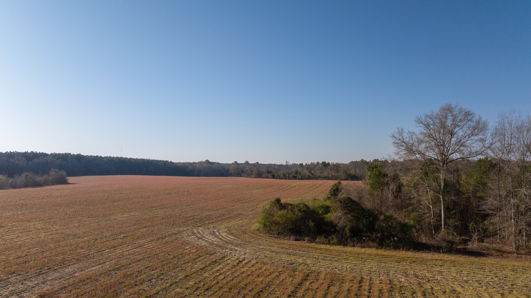 Image for 148+/- Acres - The Cattail Farm - Row Crop Farmland w/ Recreational Acreage