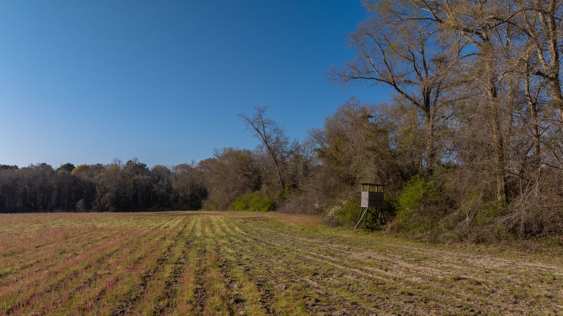 Image for 148+/- Acres - The Cattail Farm - Row Crop Farmland w/ Recreational Acreage