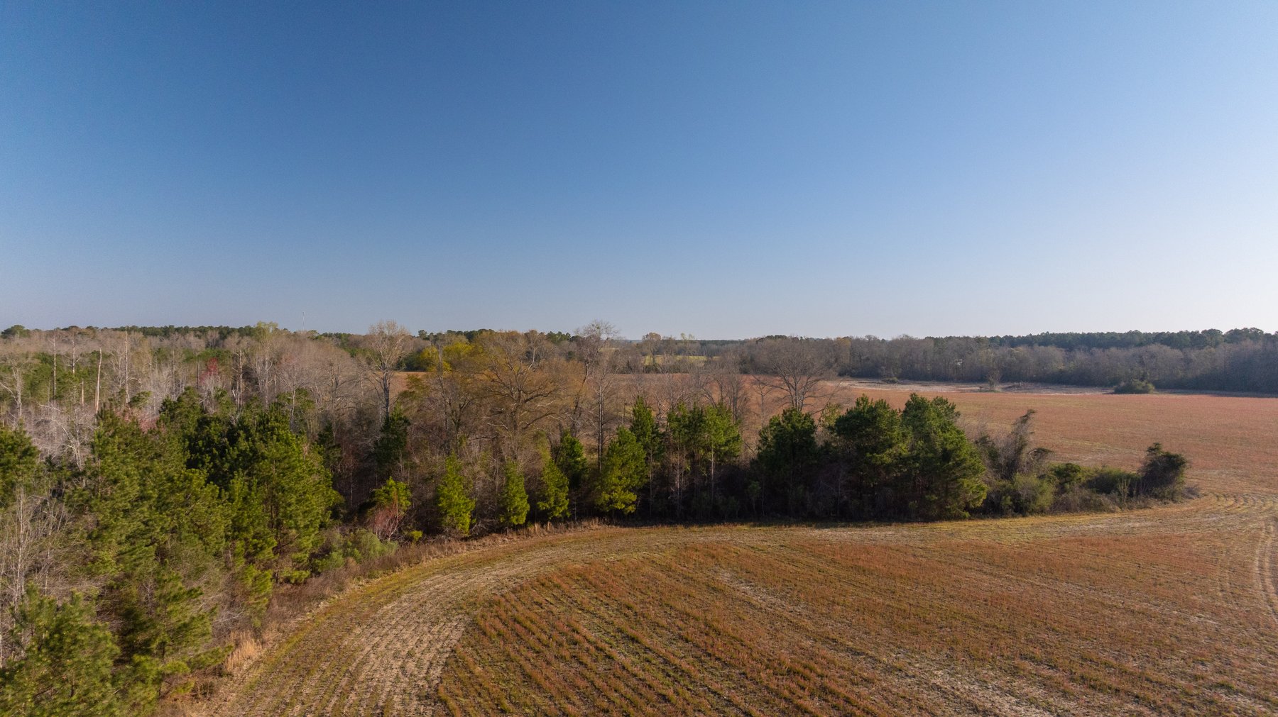 Image for 148+/- Acres - The Cattail Farm - Row Crop Farmland w/ Recreational Acreage