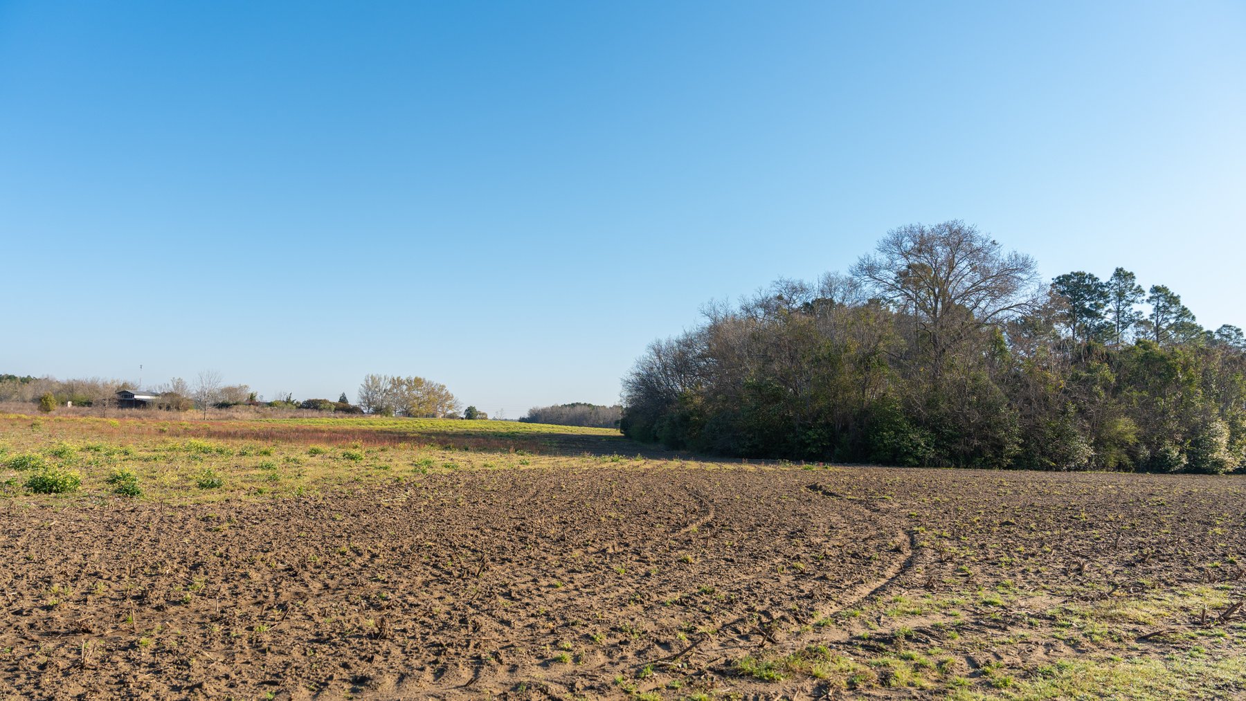 Image for 148+/- Acres - The Cattail Farm - Row Crop Farmland w/ Recreational Acreage