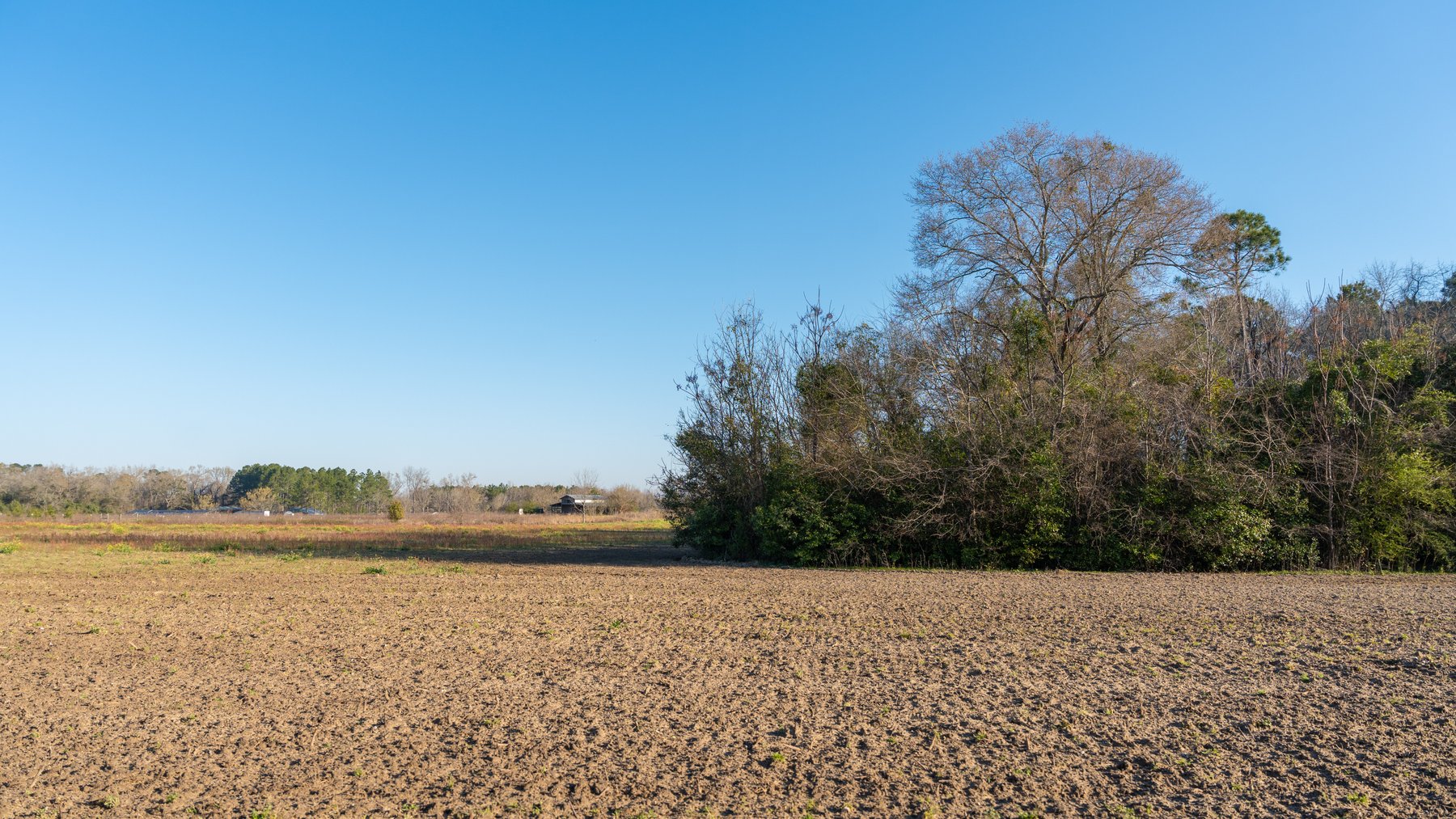 Image for 148+/- Acres - The Cattail Farm - Row Crop Farmland w/ Recreational Acreage
