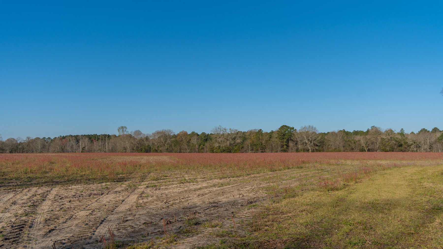 Image for 148+/- Acres - The Cattail Farm - Row Crop Farmland w/ Recreational Acreage
