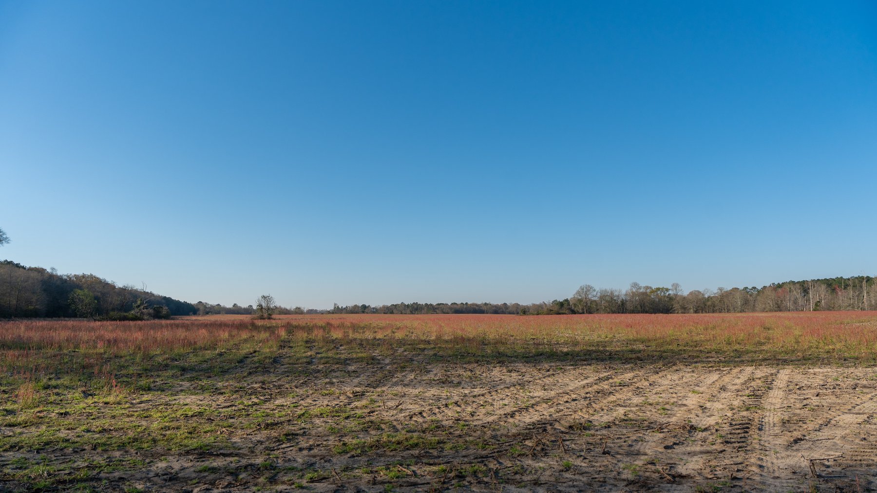 Image for 148+/- Acres - The Cattail Farm - Row Crop Farmland w/ Recreational Acreage