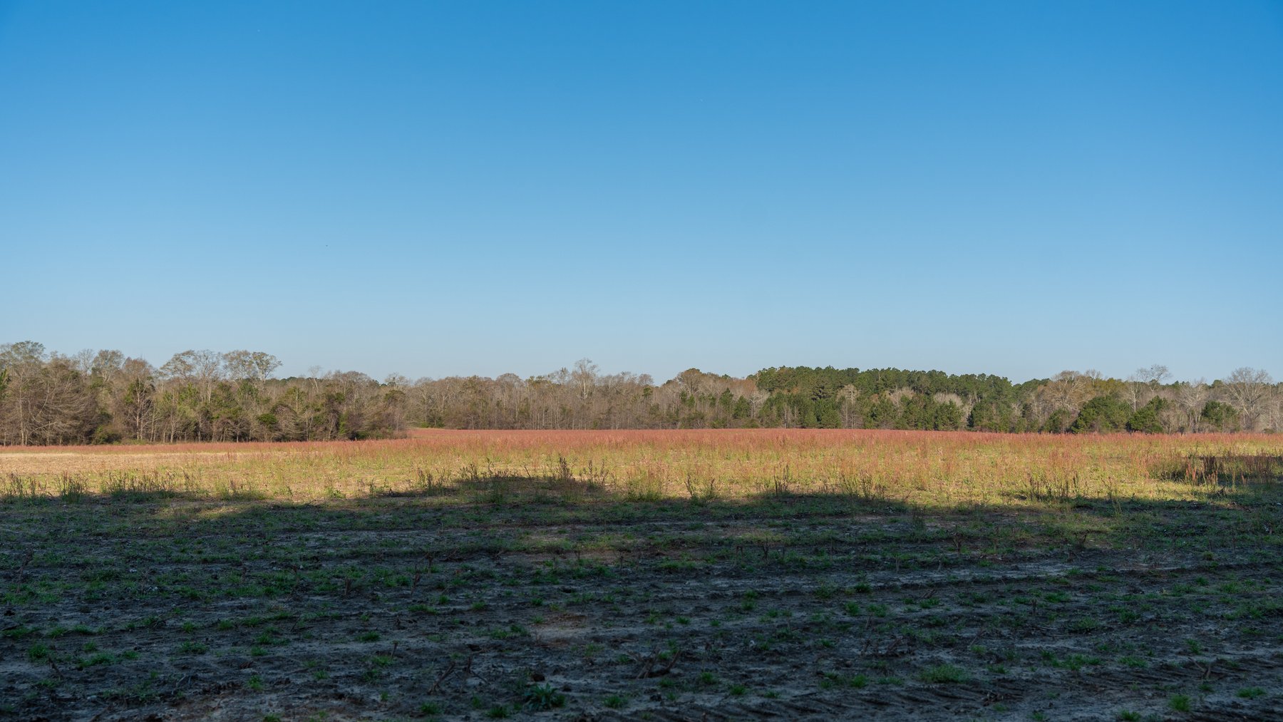 Image for 148+/- Acres - The Cattail Farm - Row Crop Farmland w/ Recreational Acreage