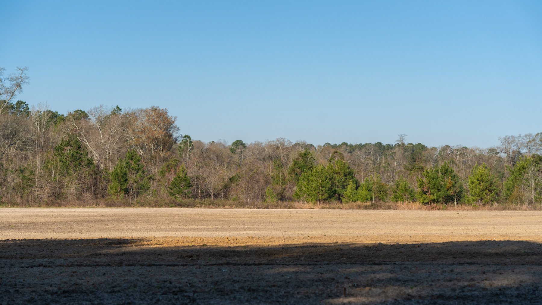 Image for 148+/- Acres - The Cattail Farm - Row Crop Farmland w/ Recreational Acreage