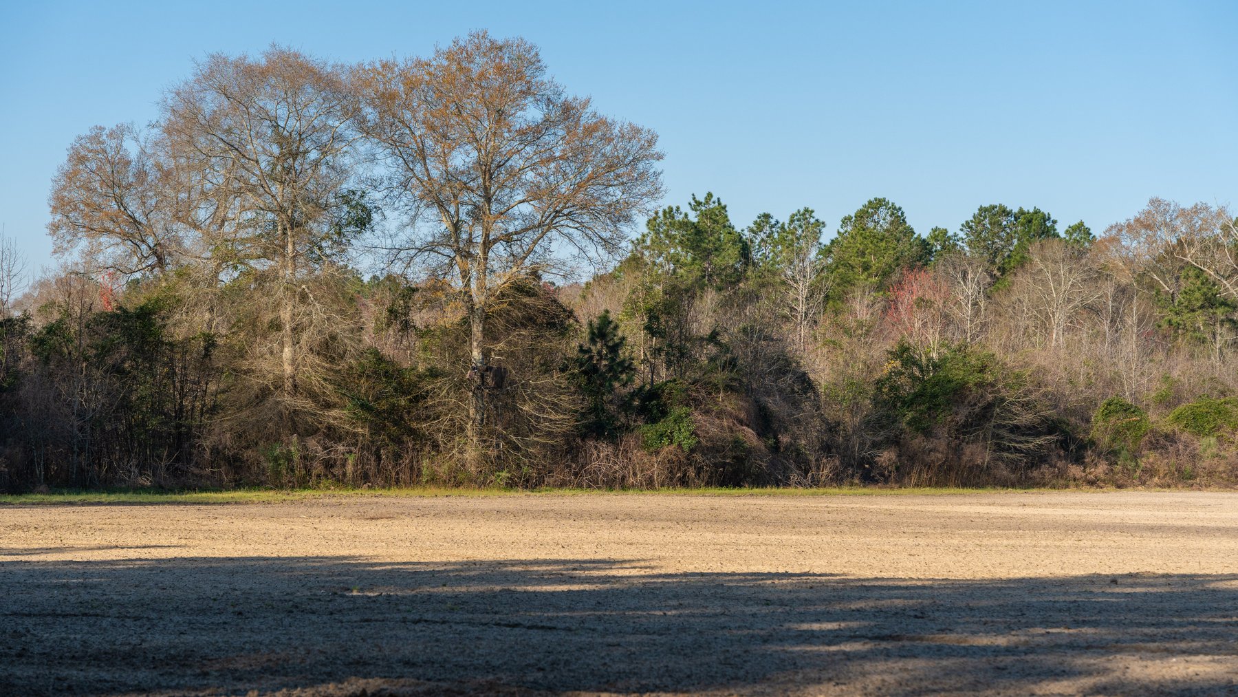 Image for 148+/- Acres - The Cattail Farm - Row Crop Farmland w/ Recreational Acreage