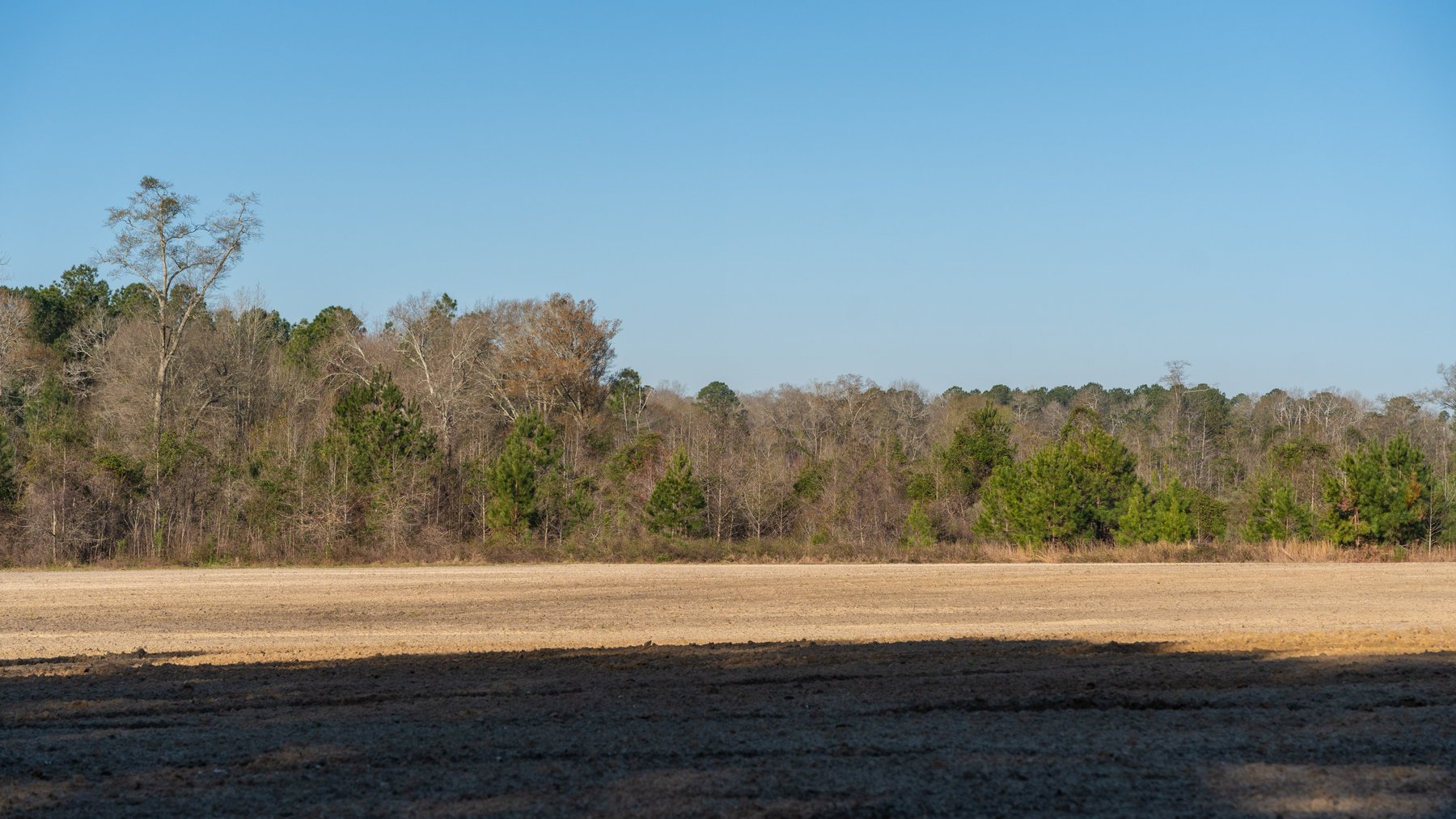 Image for 148+/- Acres - The Cattail Farm - Row Crop Farmland w/ Recreational Acreage
