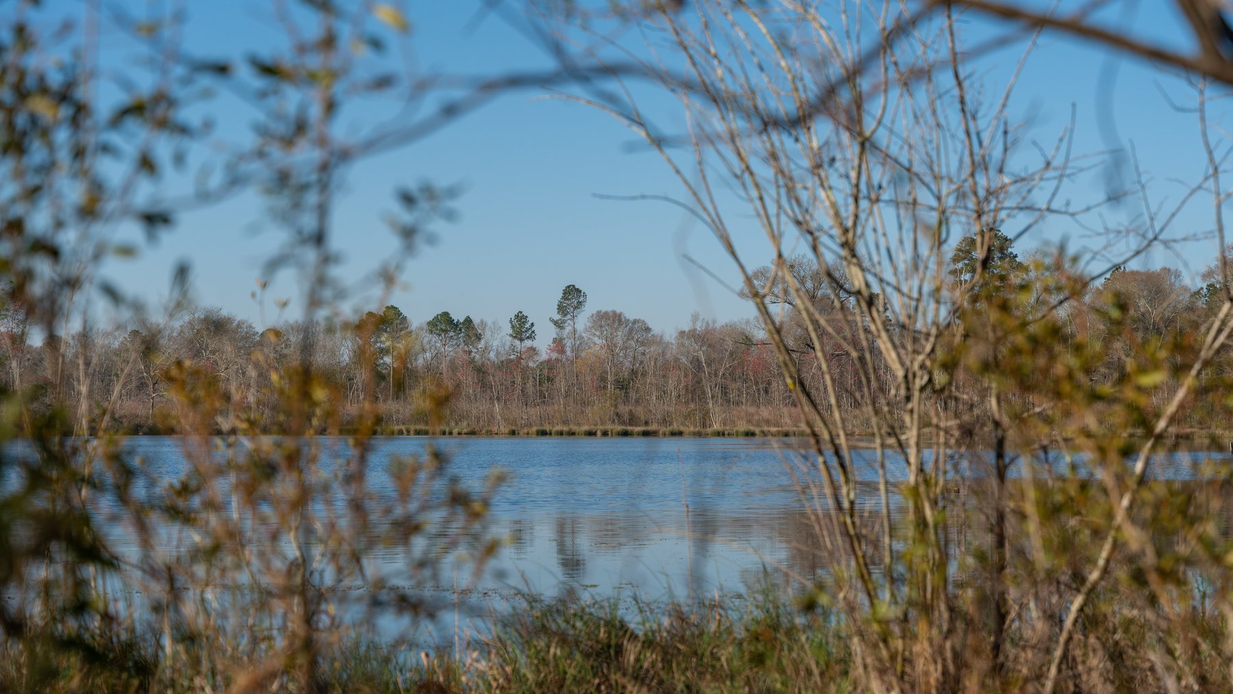 Image for 148+/- Acres - The Cattail Farm - Row Crop Farmland w/ Recreational Acreage