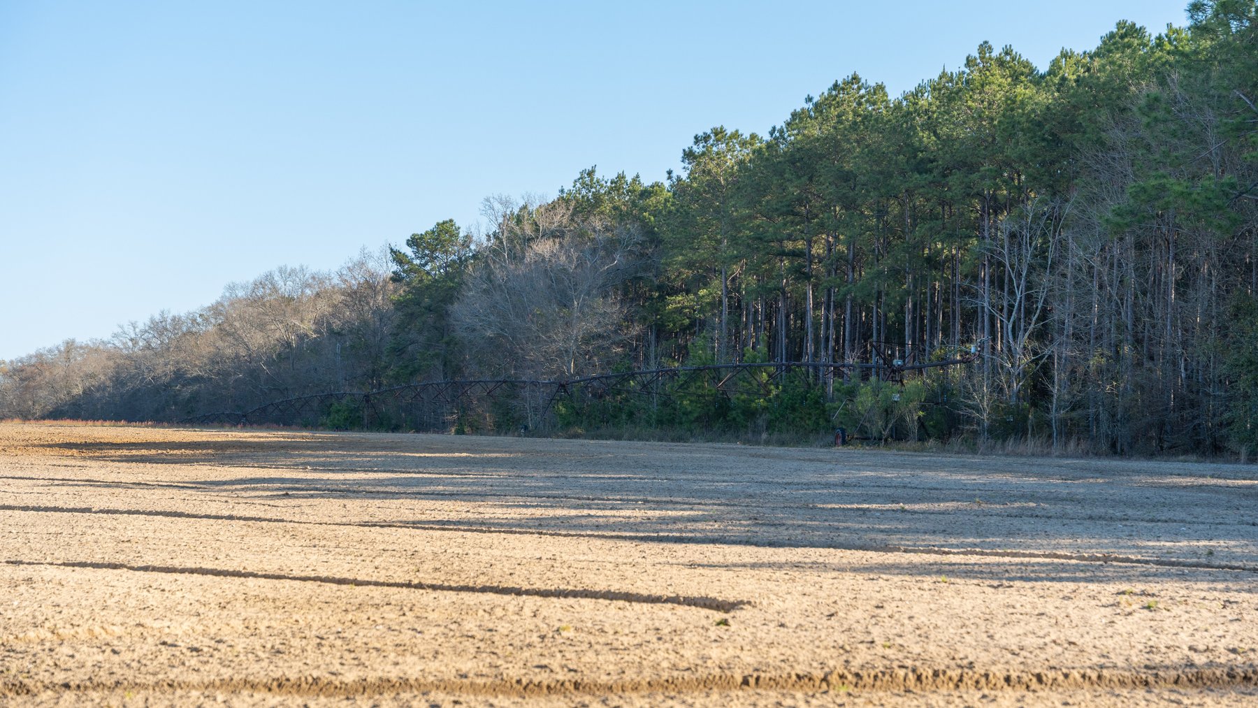 Image for 148+/- Acres - The Cattail Farm - Row Crop Farmland w/ Recreational Acreage