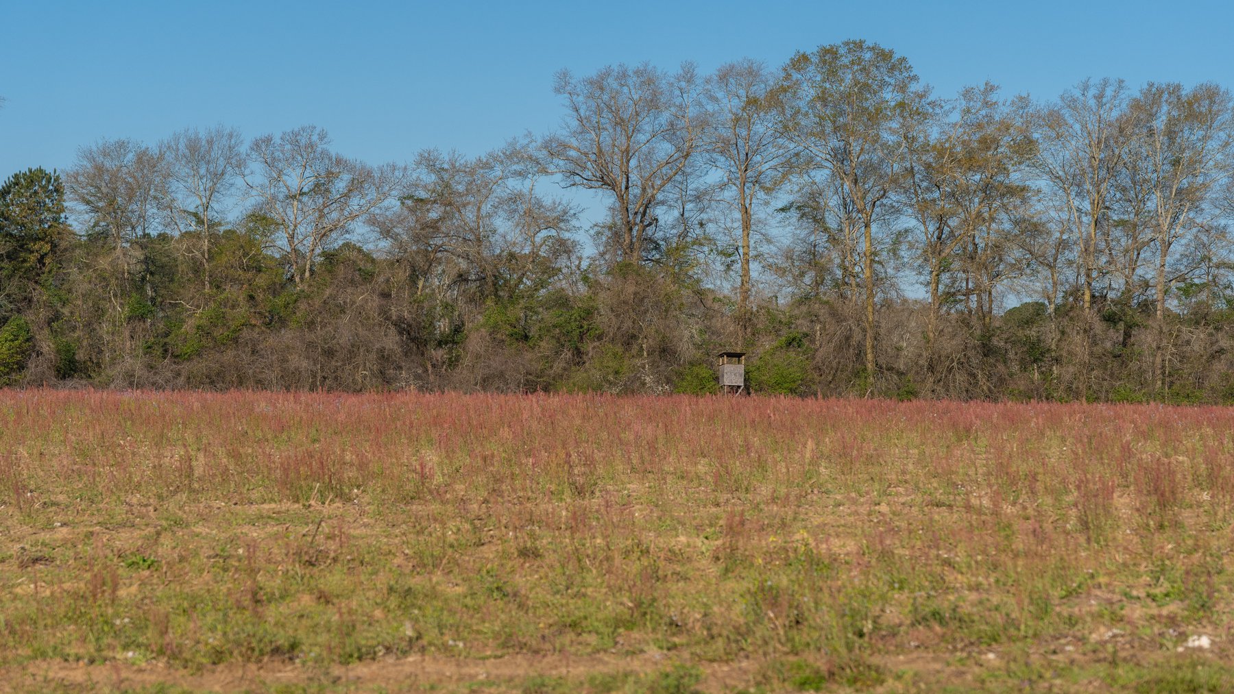 Image for 148+/- Acres - The Cattail Farm - Row Crop Farmland w/ Recreational Acreage