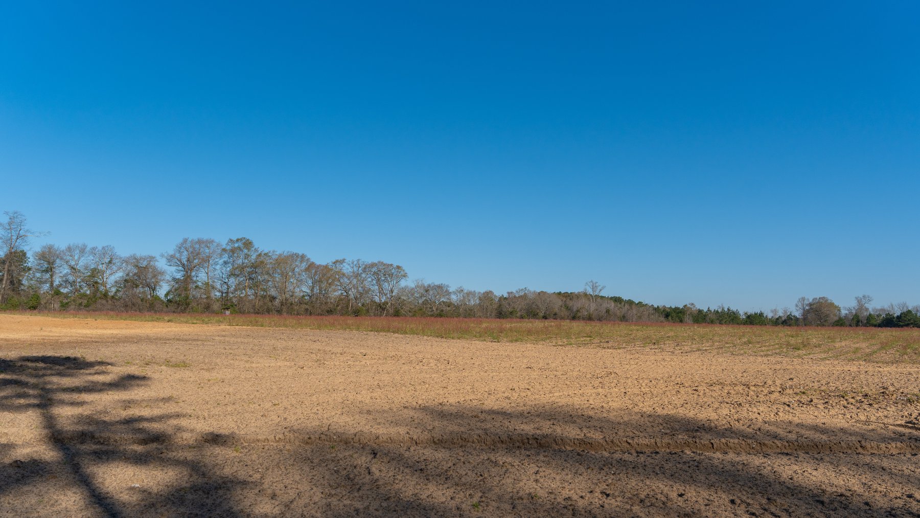 Image for 148+/- Acres - The Cattail Farm - Row Crop Farmland w/ Recreational Acreage