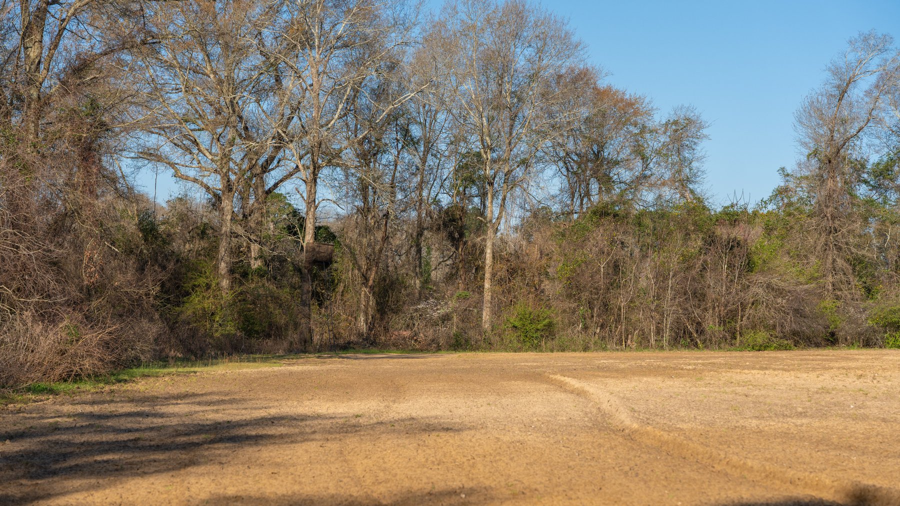 Image for 148+/- Acres - The Cattail Farm - Row Crop Farmland w/ Recreational Acreage