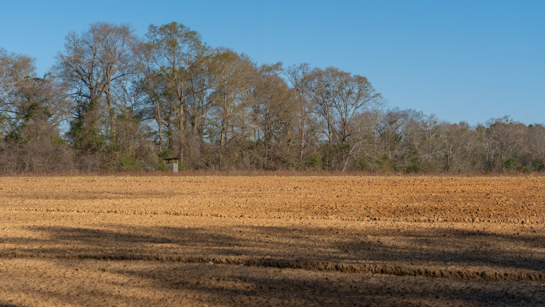 Image for 148+/- Acres - The Cattail Farm - Row Crop Farmland w/ Recreational Acreage