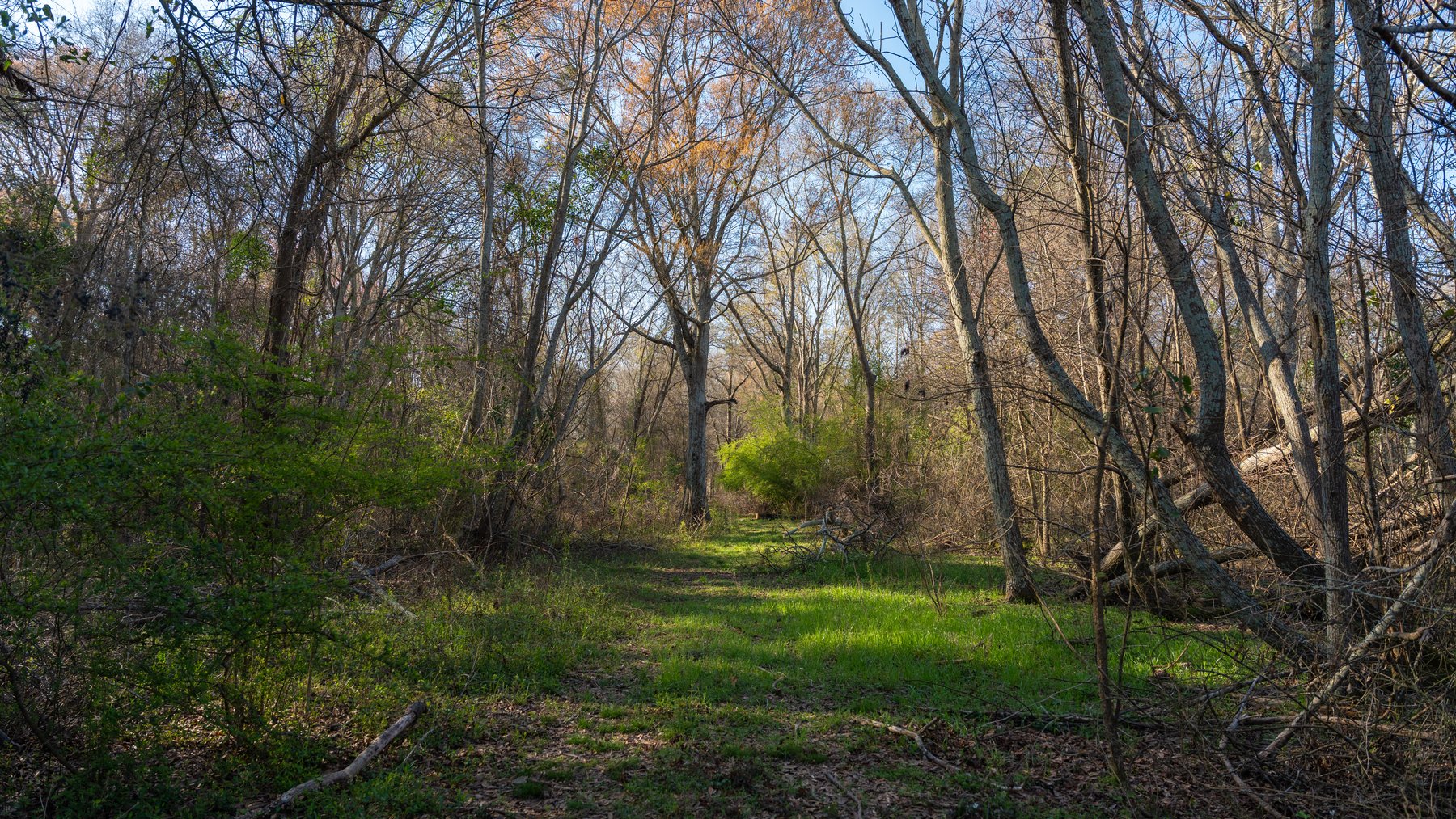 Image for 148+/- Acres - The Cattail Farm - Row Crop Farmland w/ Recreational Acreage