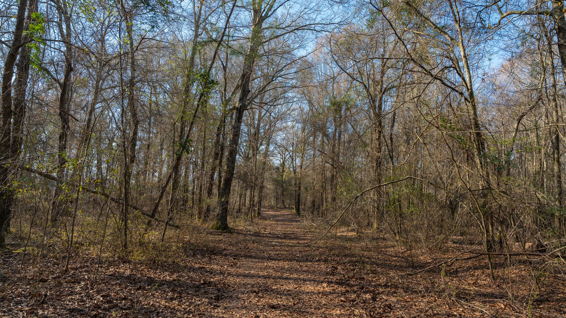 Image for 148+/- Acres - The Cattail Farm - Row Crop Farmland w/ Recreational Acreage