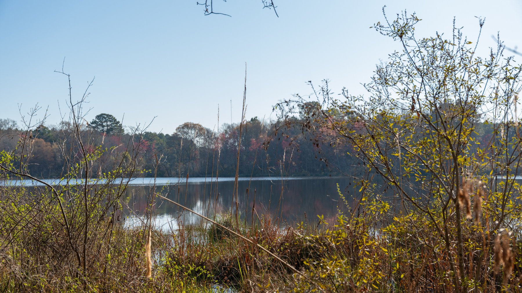 Image for 148+/- Acres - The Cattail Farm - Row Crop Farmland w/ Recreational Acreage