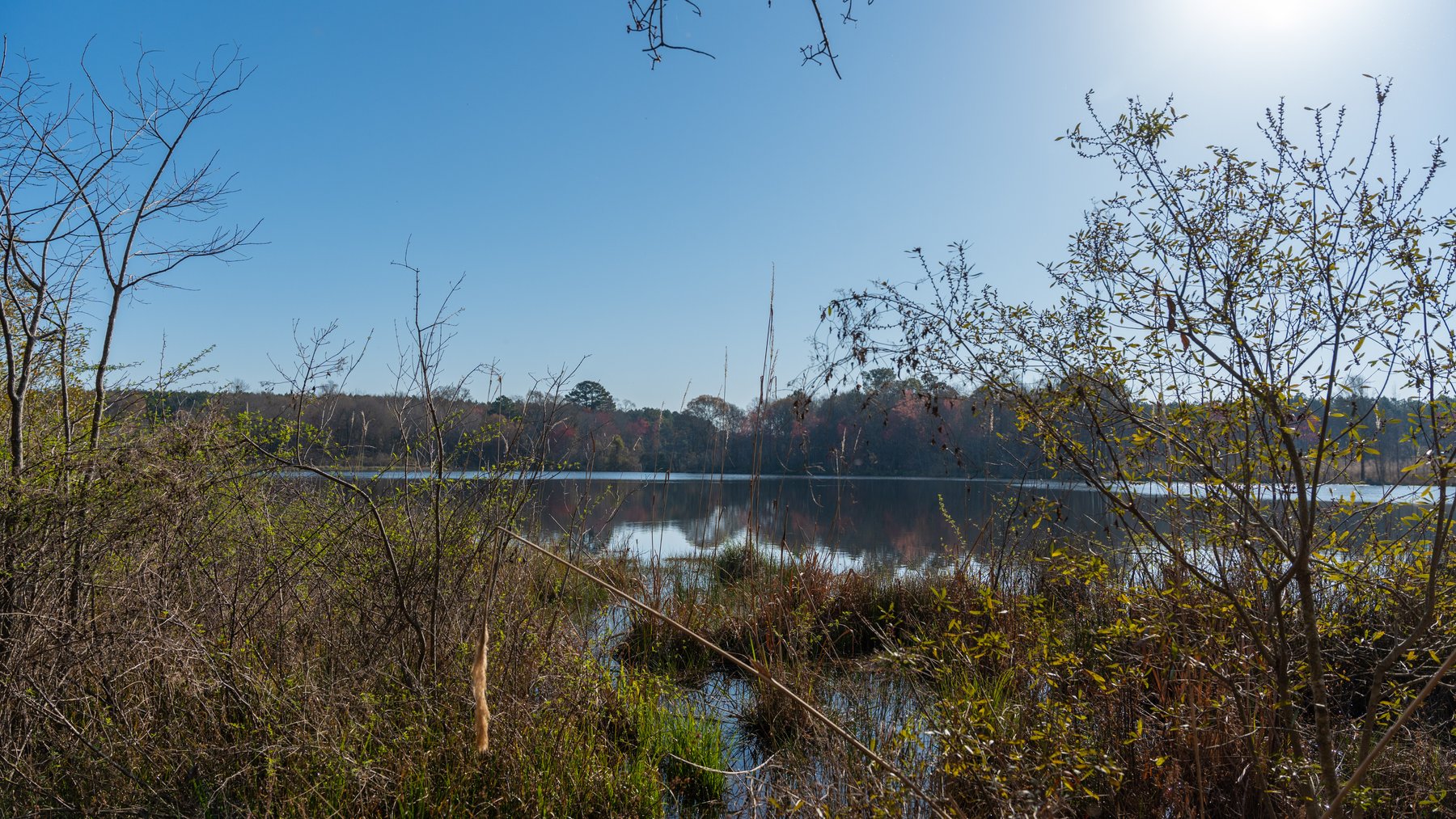 Image for 148+/- Acres - The Cattail Farm - Row Crop Farmland w/ Recreational Acreage