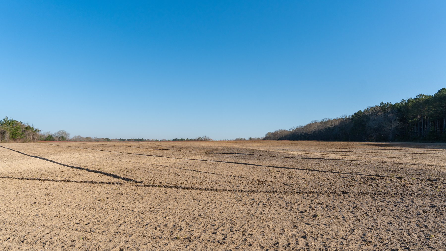 Image for 148+/- Acres - The Cattail Farm - Row Crop Farmland w/ Recreational Acreage