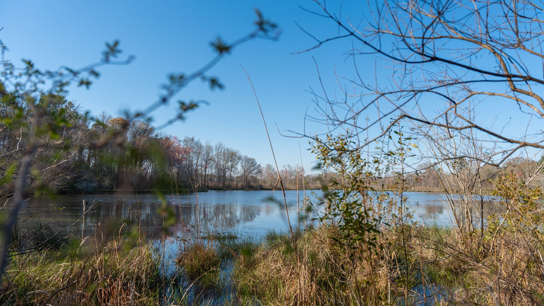 Image for 148+/- Acres - The Cattail Farm - Row Crop Farmland w/ Recreational Acreage