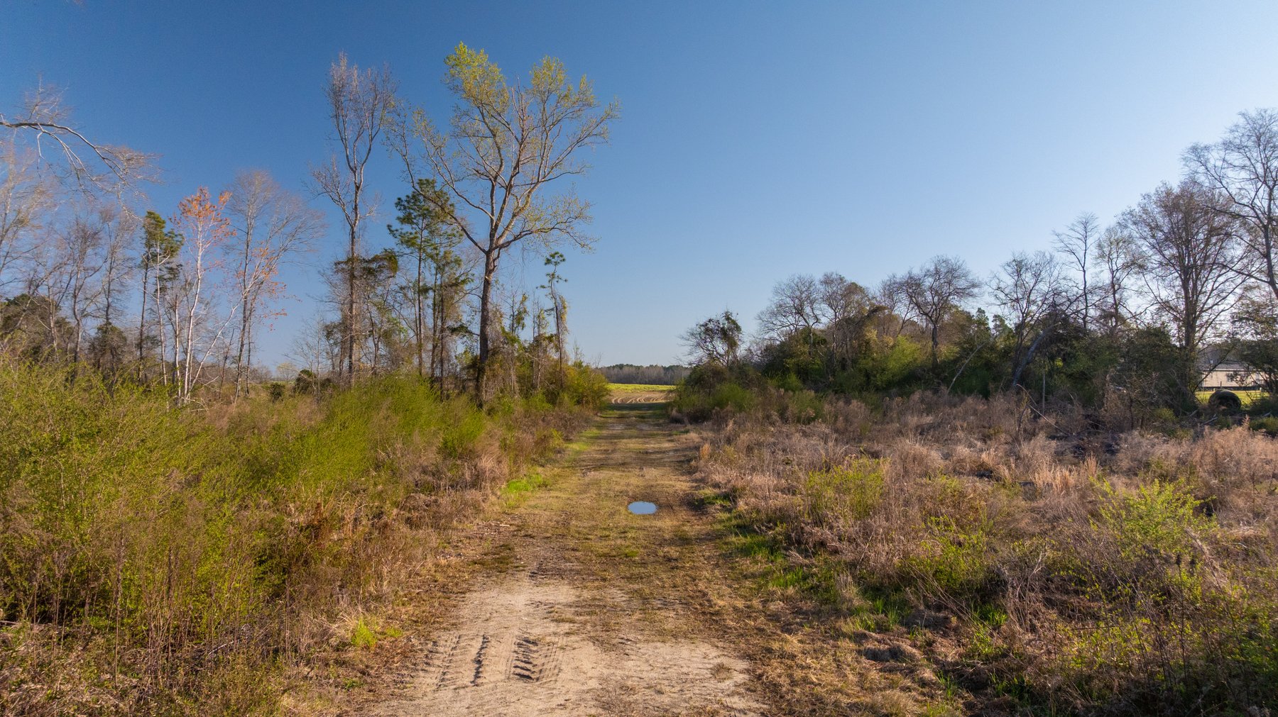 Image for 148+/- Acres - The Cattail Farm - Row Crop Farmland w/ Recreational Acreage