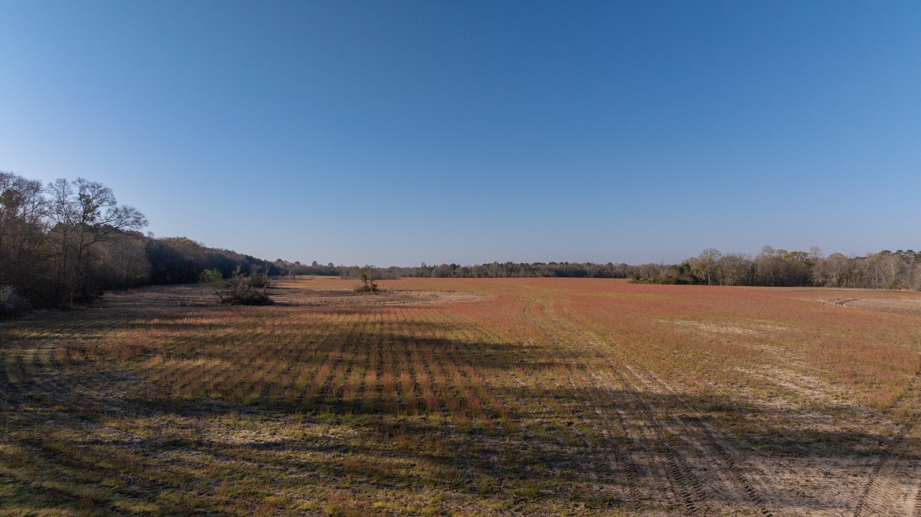 Image for 148+/- Acres - The Cattail Farm - Row Crop Farmland w/ Recreational Acreage