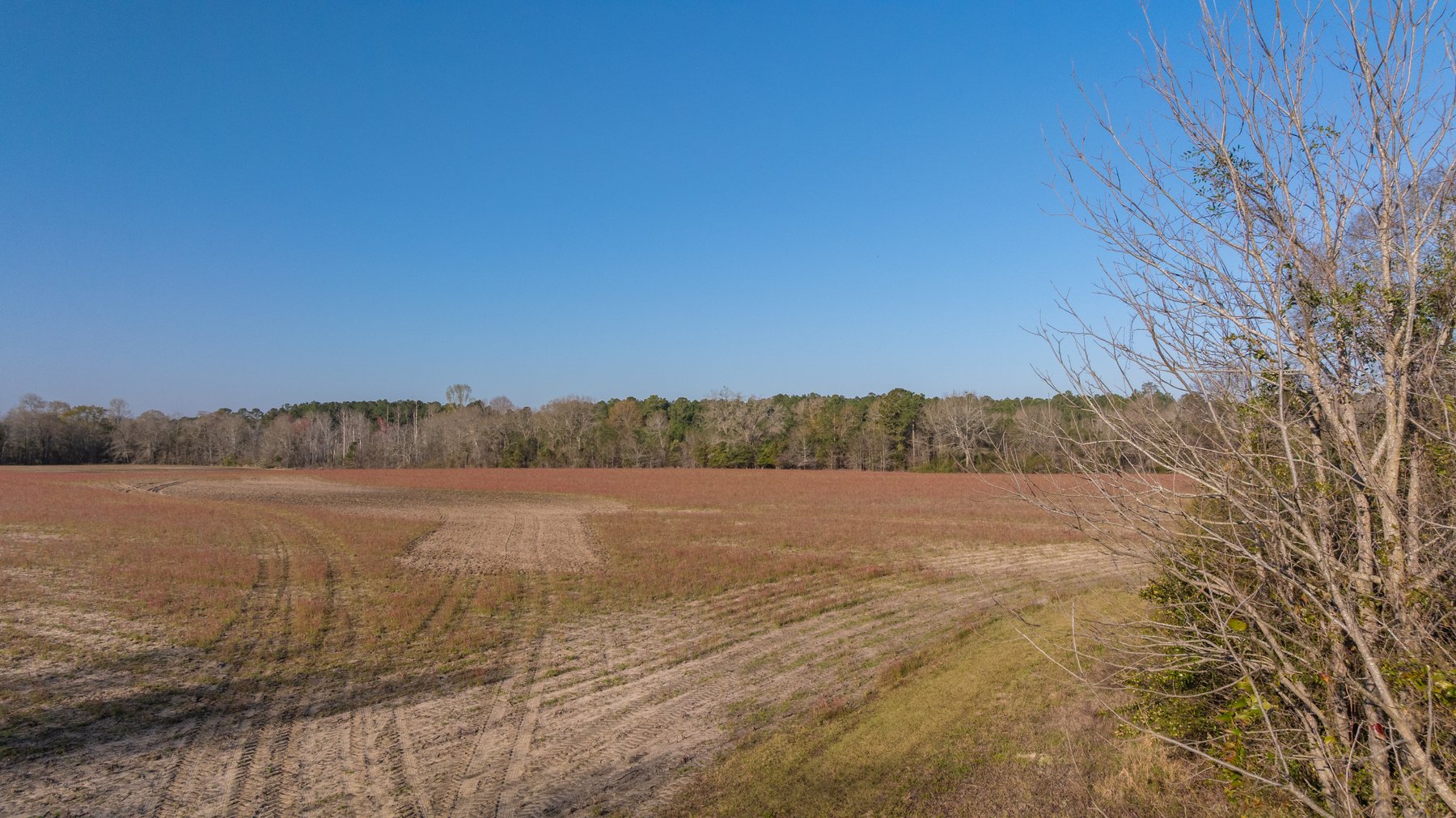 Image for 148+/- Acres - The Cattail Farm - Row Crop Farmland w/ Recreational Acreage