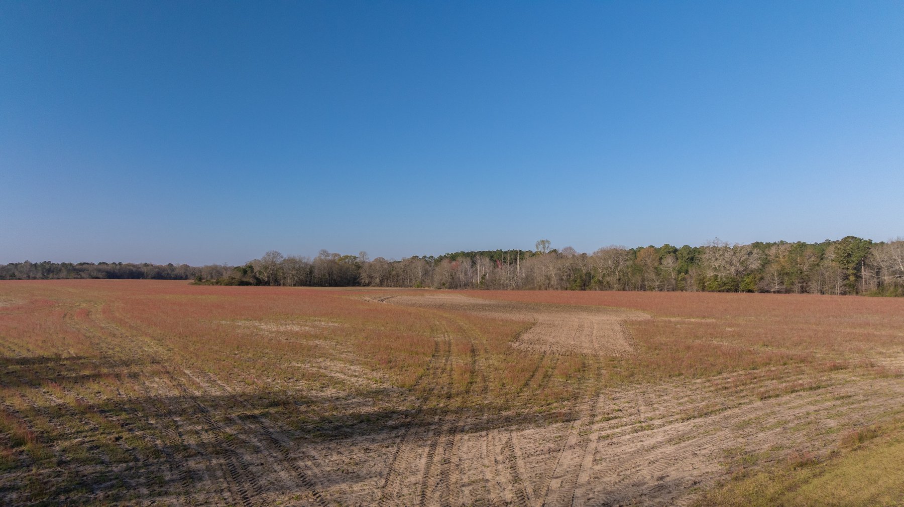 Image for 148+/- Acres - The Cattail Farm - Row Crop Farmland w/ Recreational Acreage