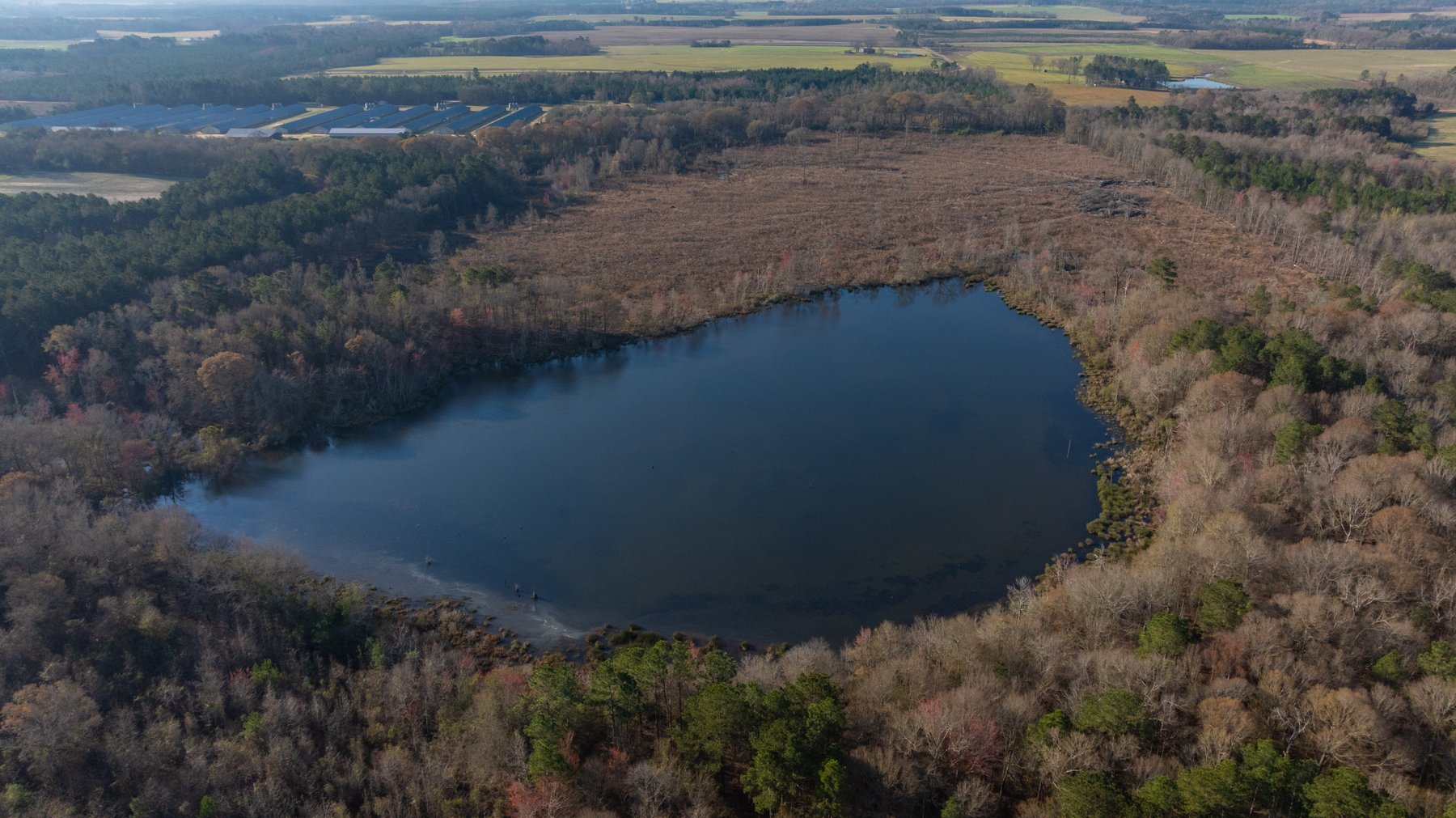 Image for 148+/- Acres - The Cattail Farm - Row Crop Farmland w/ Recreational Acreage