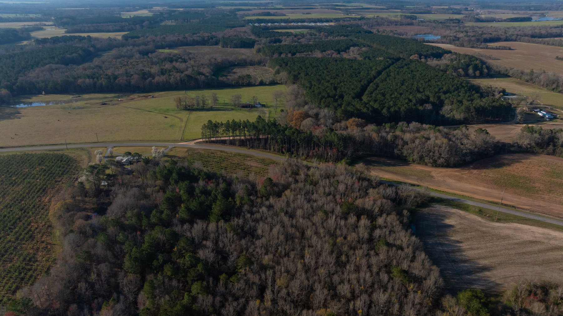 Image for 148+/- Acres - The Cattail Farm - Row Crop Farmland w/ Recreational Acreage
