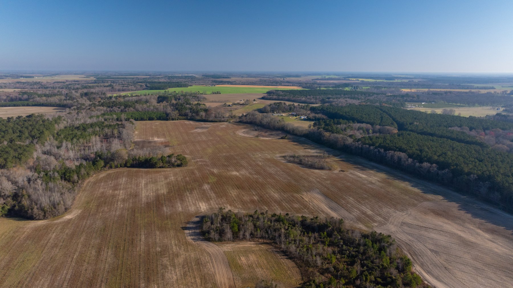 Image for 148+/- Acres - The Cattail Farm - Row Crop Farmland w/ Recreational Acreage
