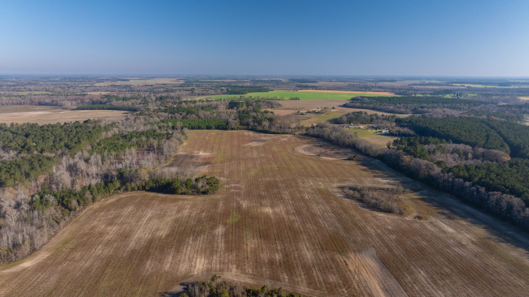 Image for 148+/- Acres - The Cattail Farm - Row Crop Farmland w/ Recreational Acreage