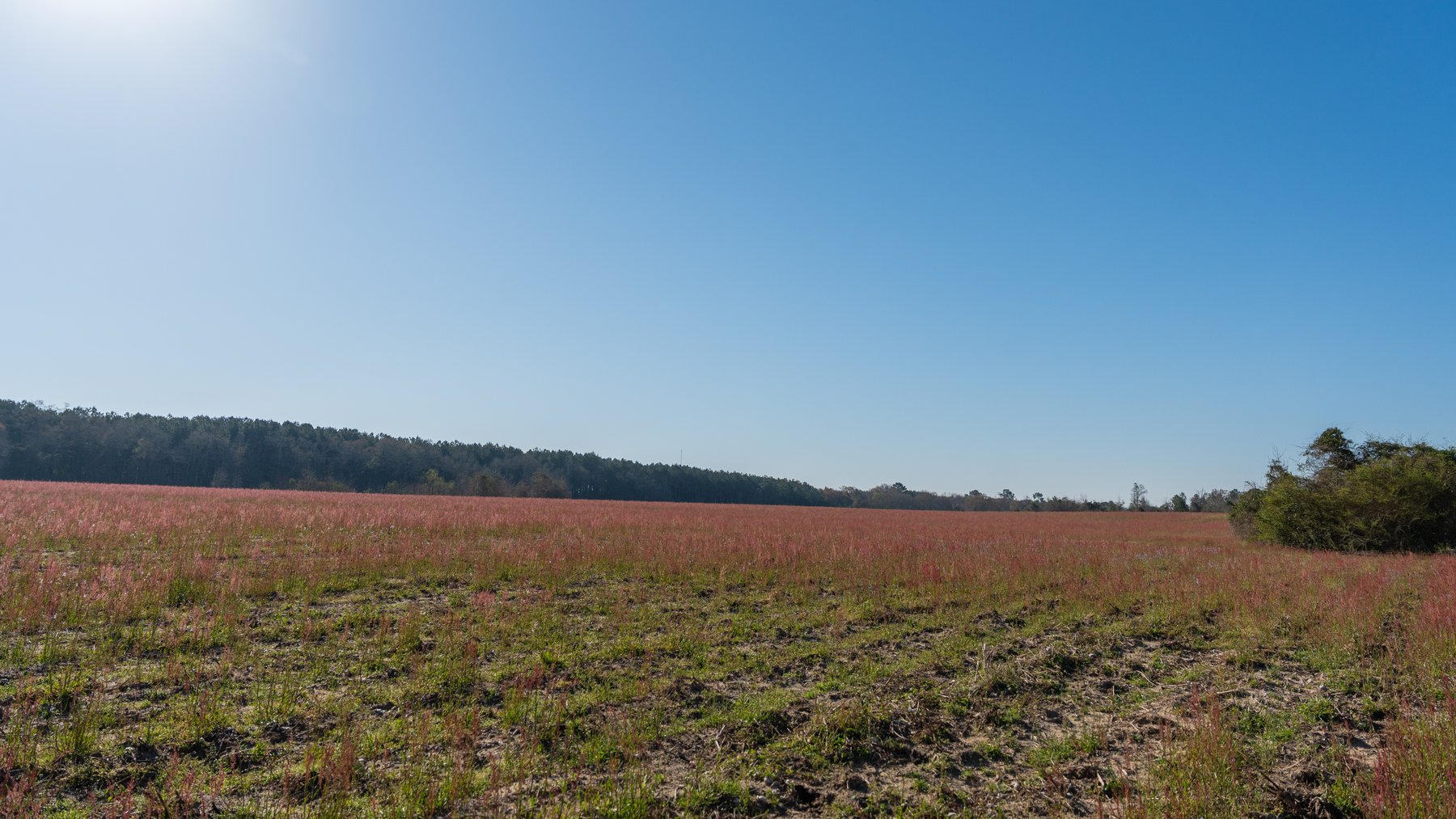Image for 148+/- Acres - The Cattail Farm - Row Crop Farmland w/ Recreational Acreage