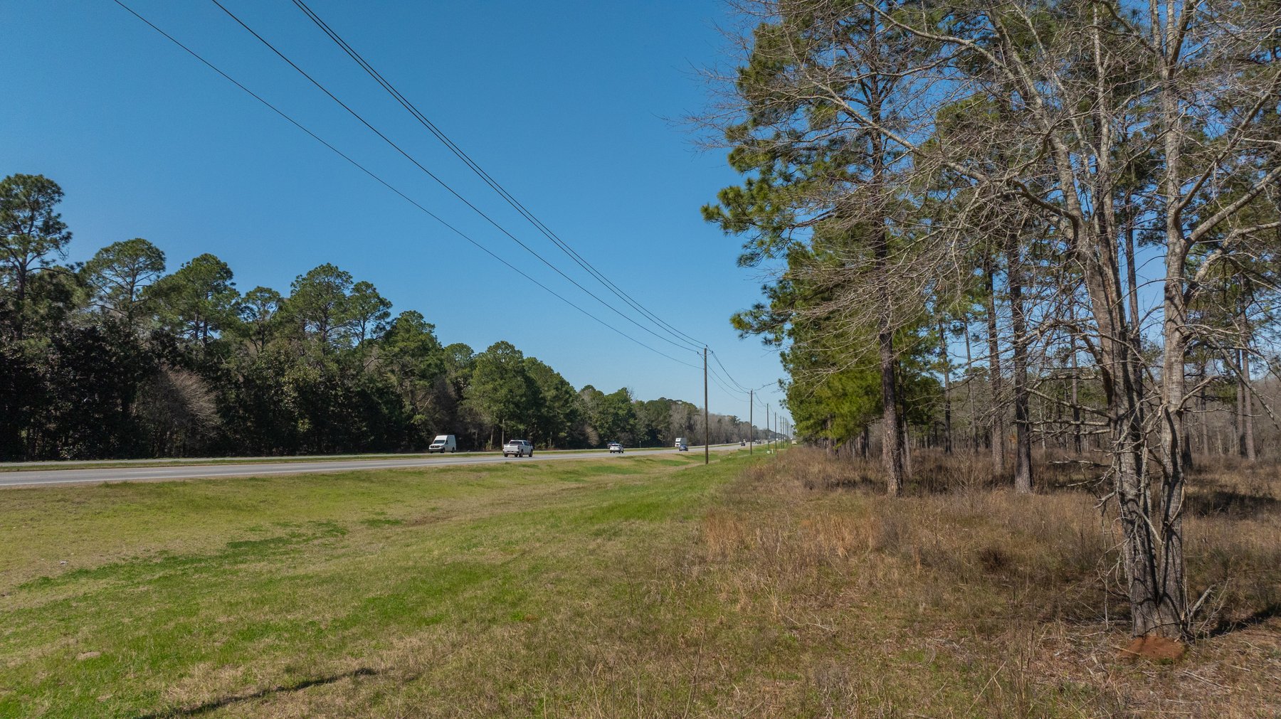 Image for 48.40+/- Acres - Oakland Plantation Commercial Acreage