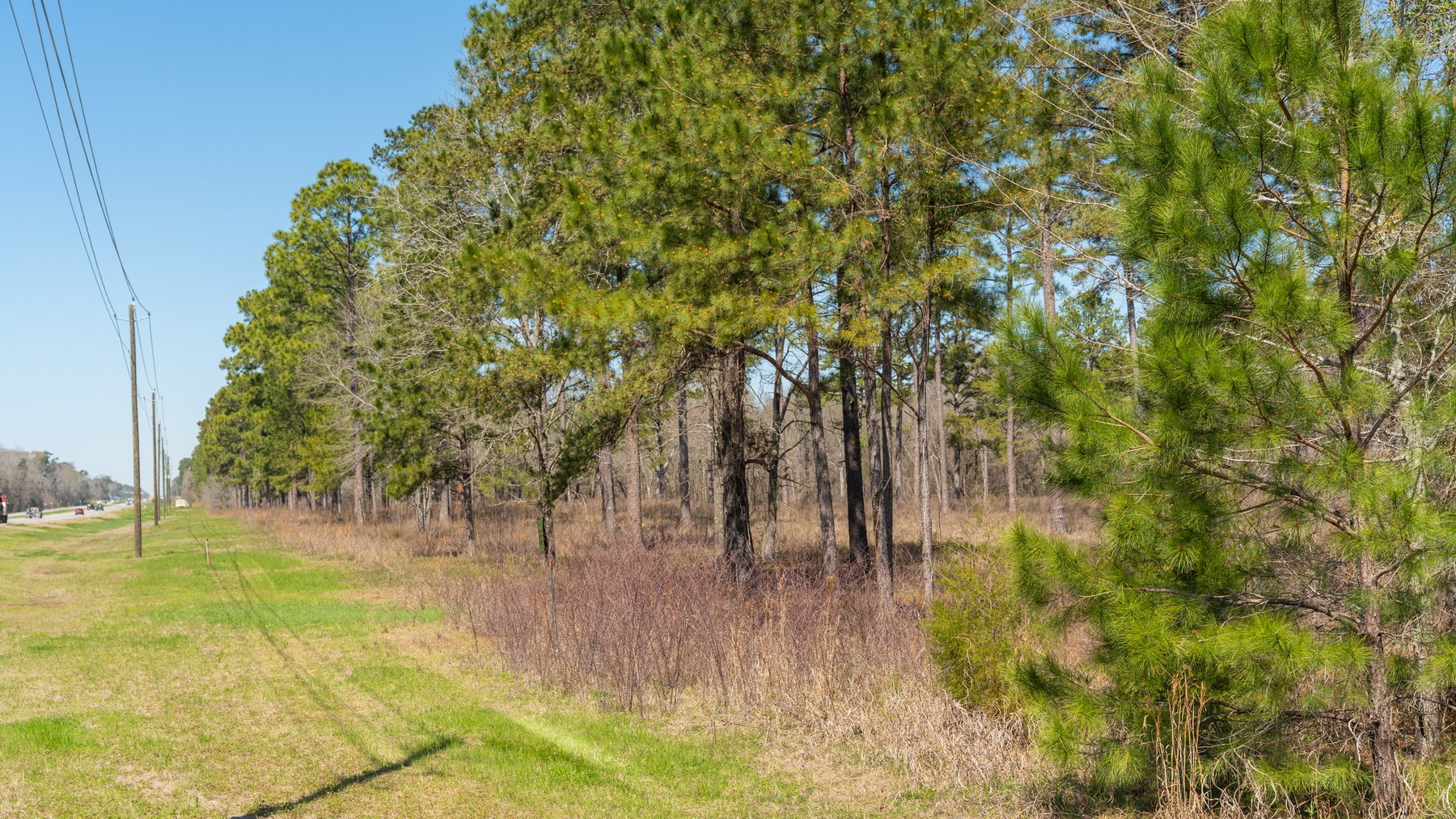 Image for 48.40+/- Acres - Oakland Plantation Commercial Acreage