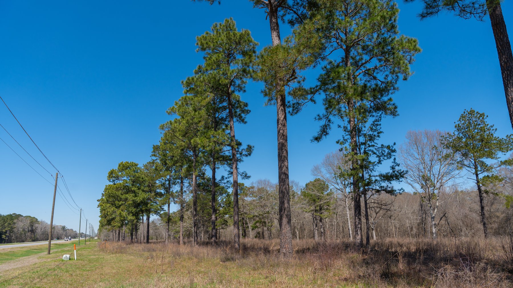 Image for 48.40+/- Acres - Oakland Plantation Commercial Acreage