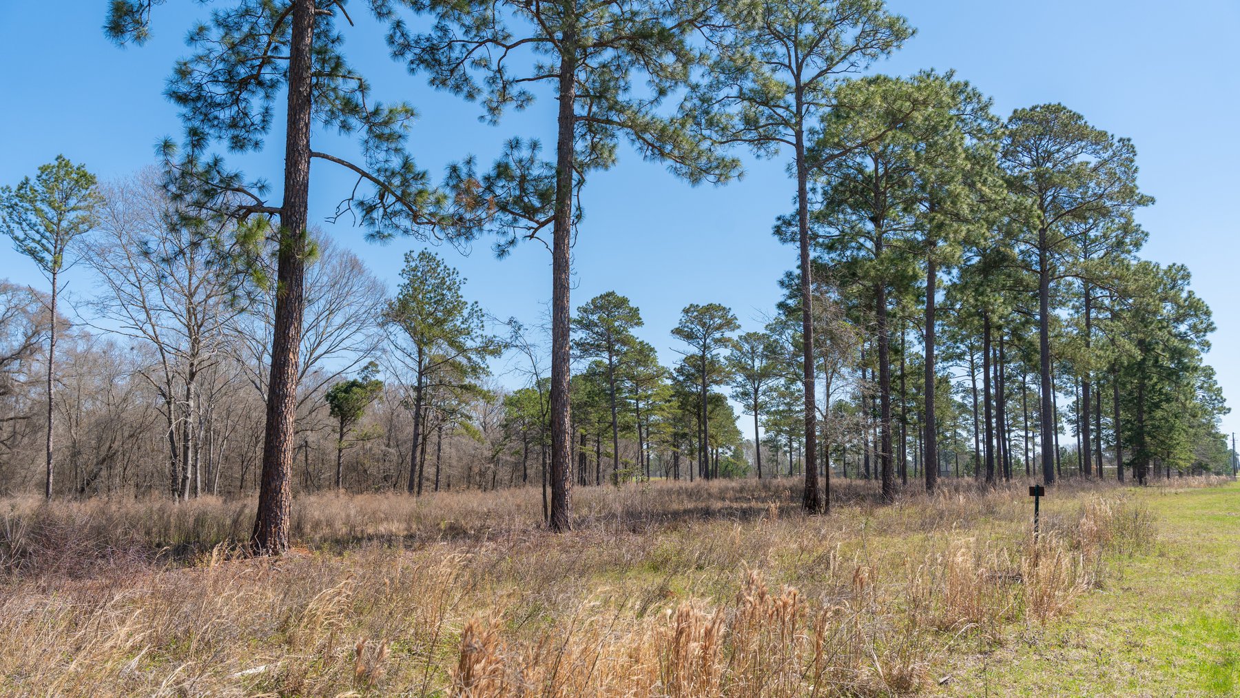 Image for 48.40+/- Acres - Oakland Plantation Commercial Acreage