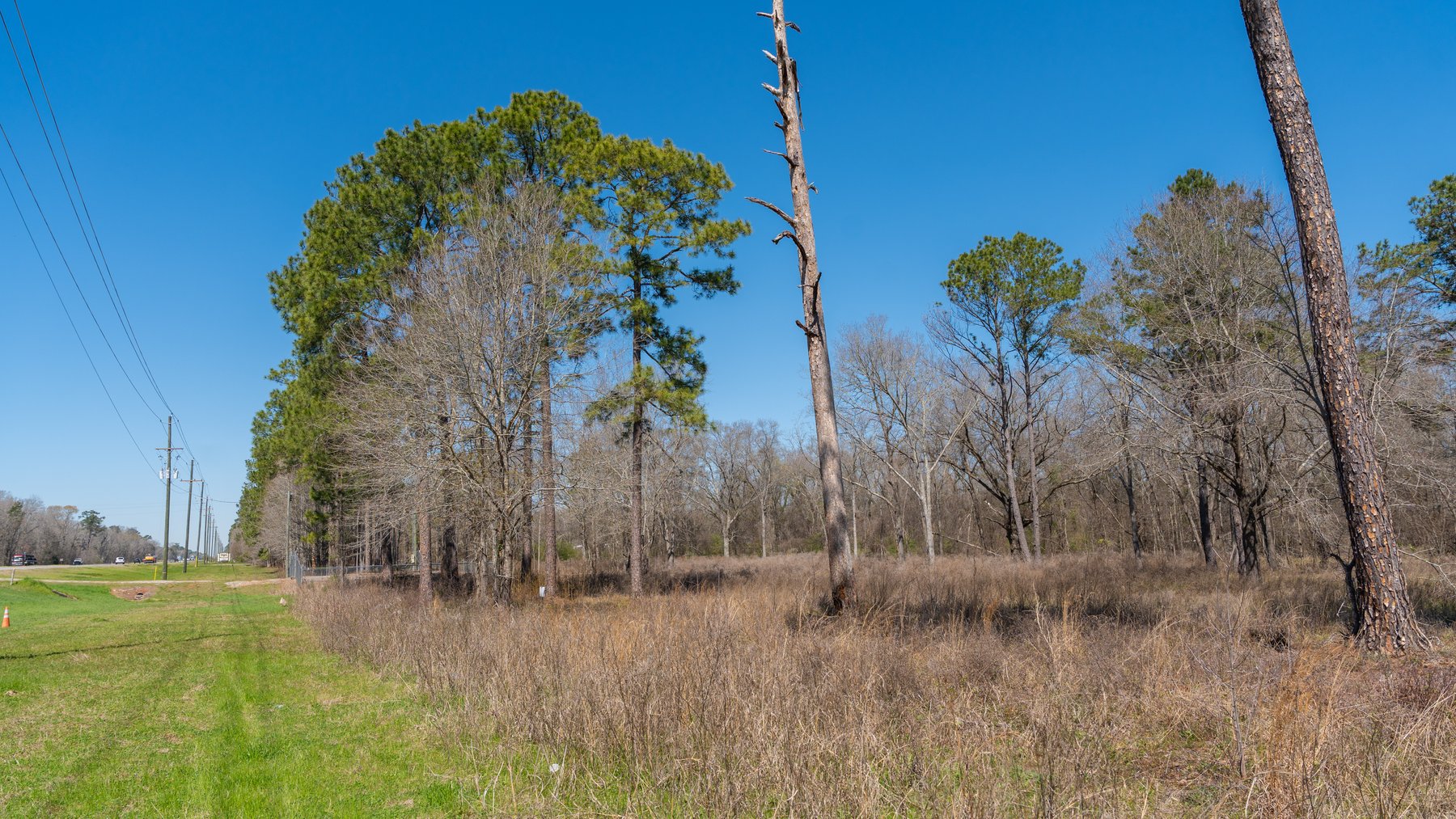 Image for 48.40+/- Acres - Oakland Plantation Commercial Acreage